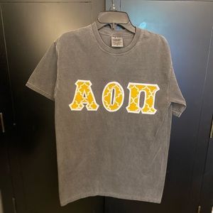 Greek letters Alpha Omicron Pi Shirt